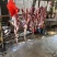山东驴肉