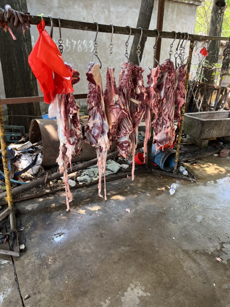 山东驴肉