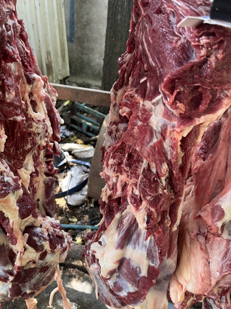 山东驴肉