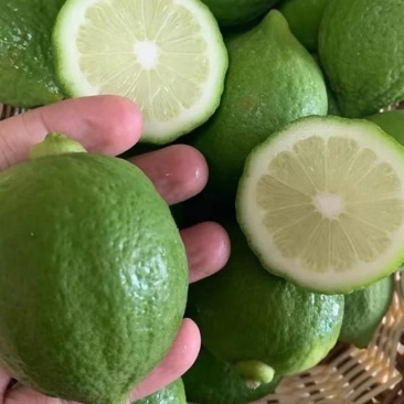 广东香水柠檬无籽青果一级