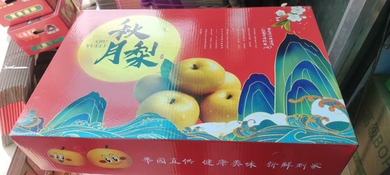 胶东秋月梨农场直供水爆汁多适合商超电商直播团购