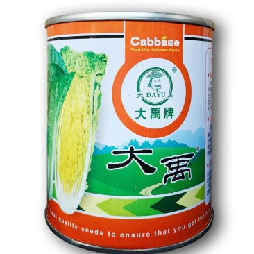 快菜种子高产小白菜籽奶油小白菜种籽苗春秋冬季青蔬菜菜种籽