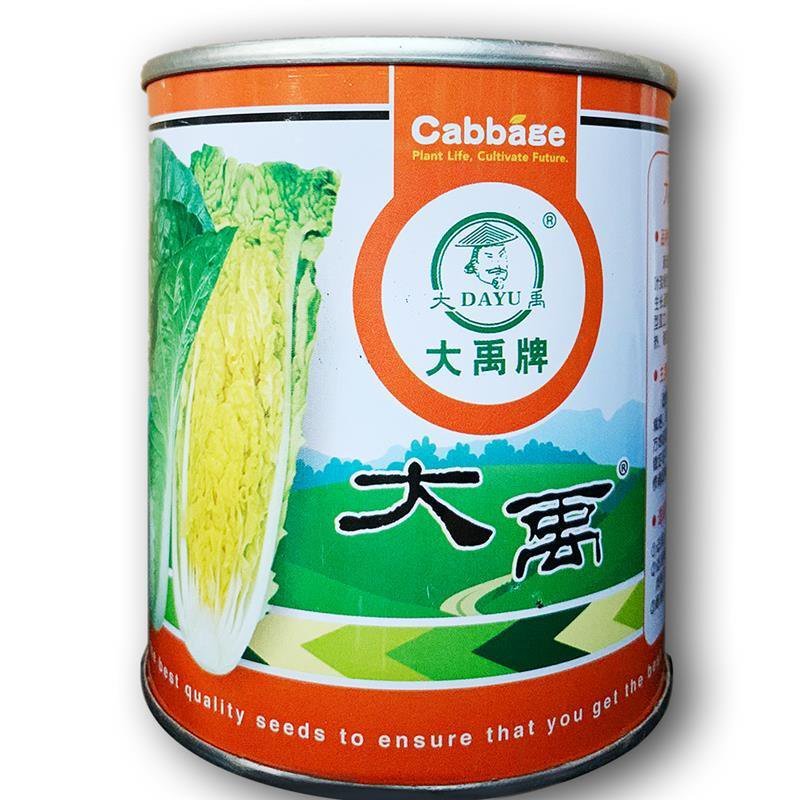 快菜种子高产小白菜籽奶油小白菜种籽苗春秋冬季青蔬菜菜种籽