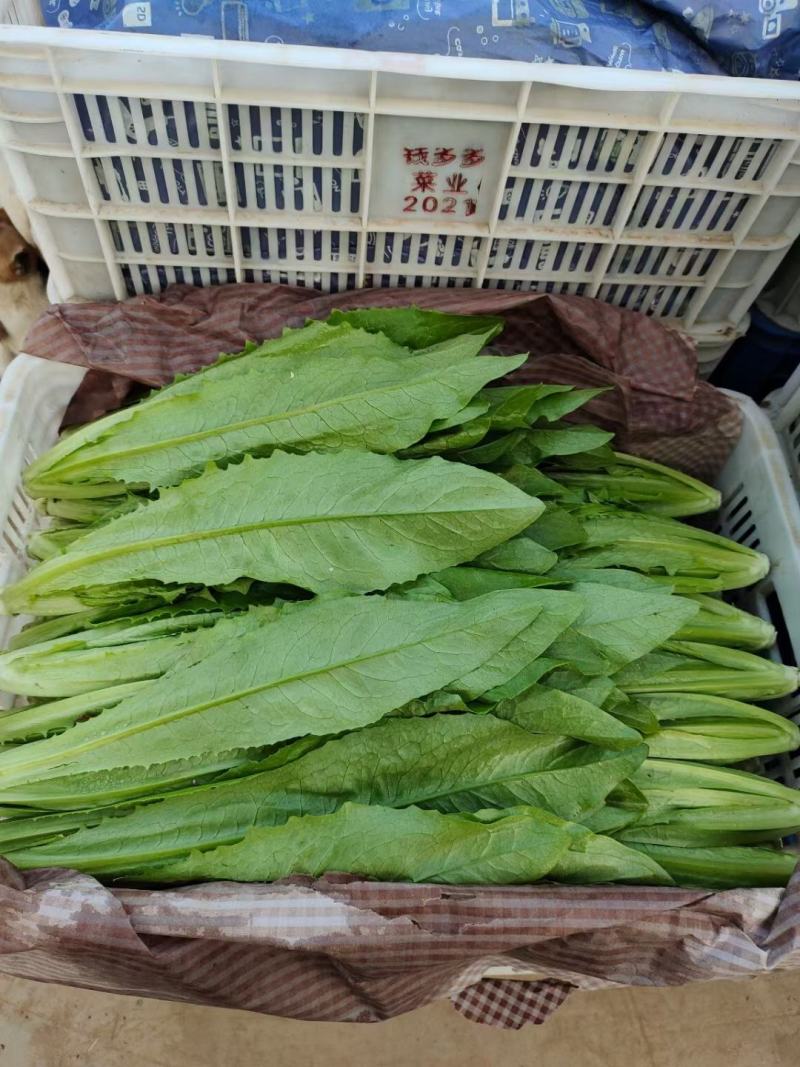 油麦