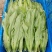 油麦