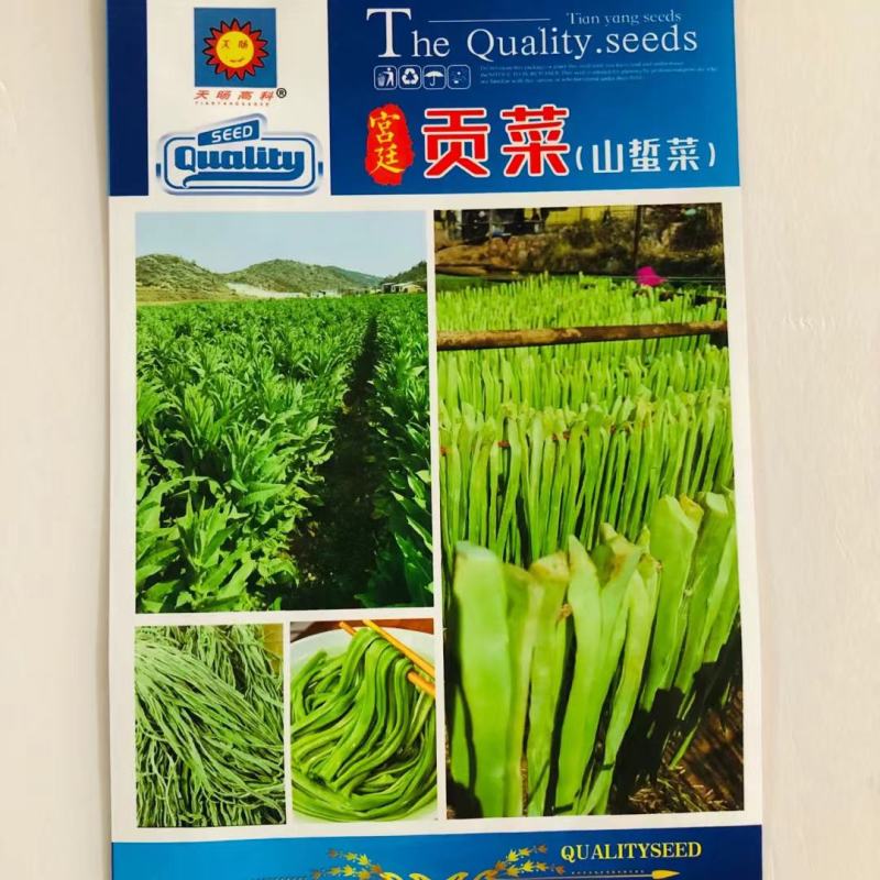 宫廷贡菜种子山蜇菜响菜种子四季高产耐寒抗热蔬菜种子菜籽菜