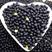 黑豆现货批发（黄仁、青仁，绿芯、大粒、中粒、小粒）黑豆