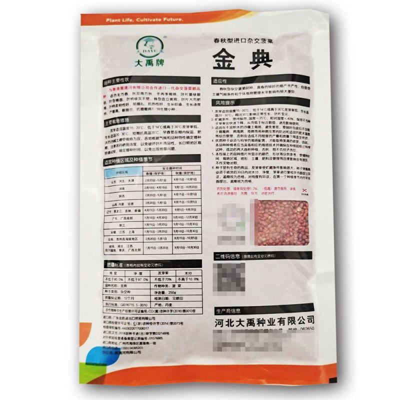 进口菠菜种子金典春秋四季杂交菠菜种子高产抗病易捆扎蔬菜种