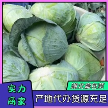 【扁包产地】湖北精品扁包产地直发，保质保量代发全国