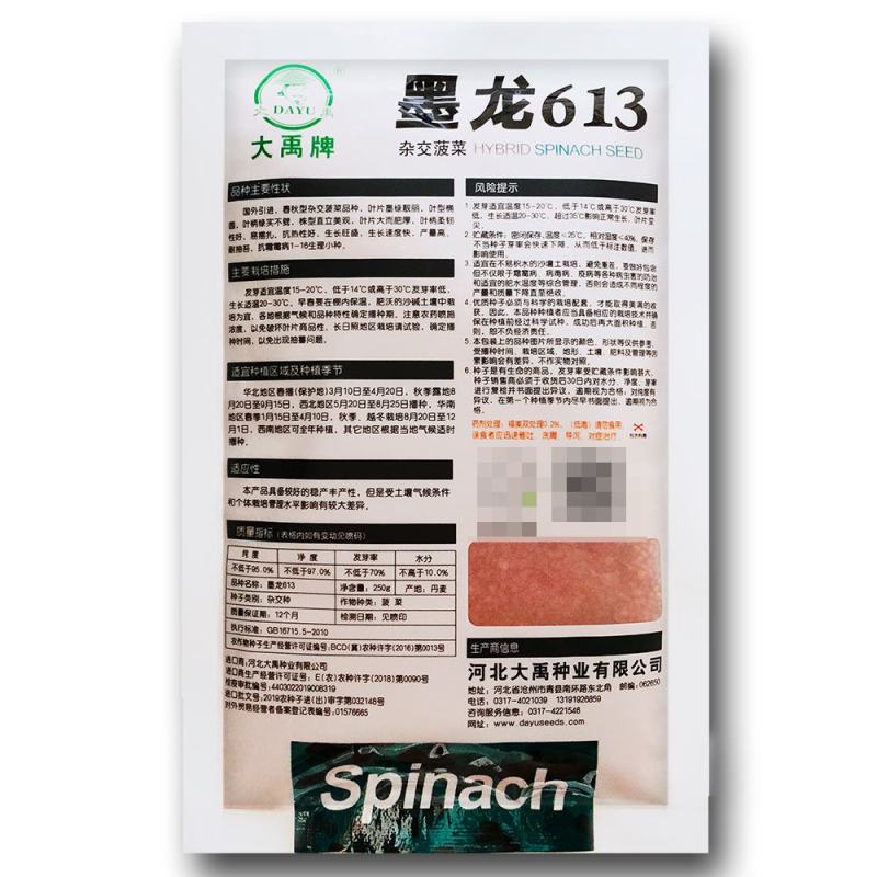 菠菜种子墨龙613菠菜种子耐寒秋冬季耐热趴地红根尖叶菠菜