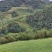 湖北宜昌高山红皮萝卜一手货源基地直供诚信合作欢迎致电