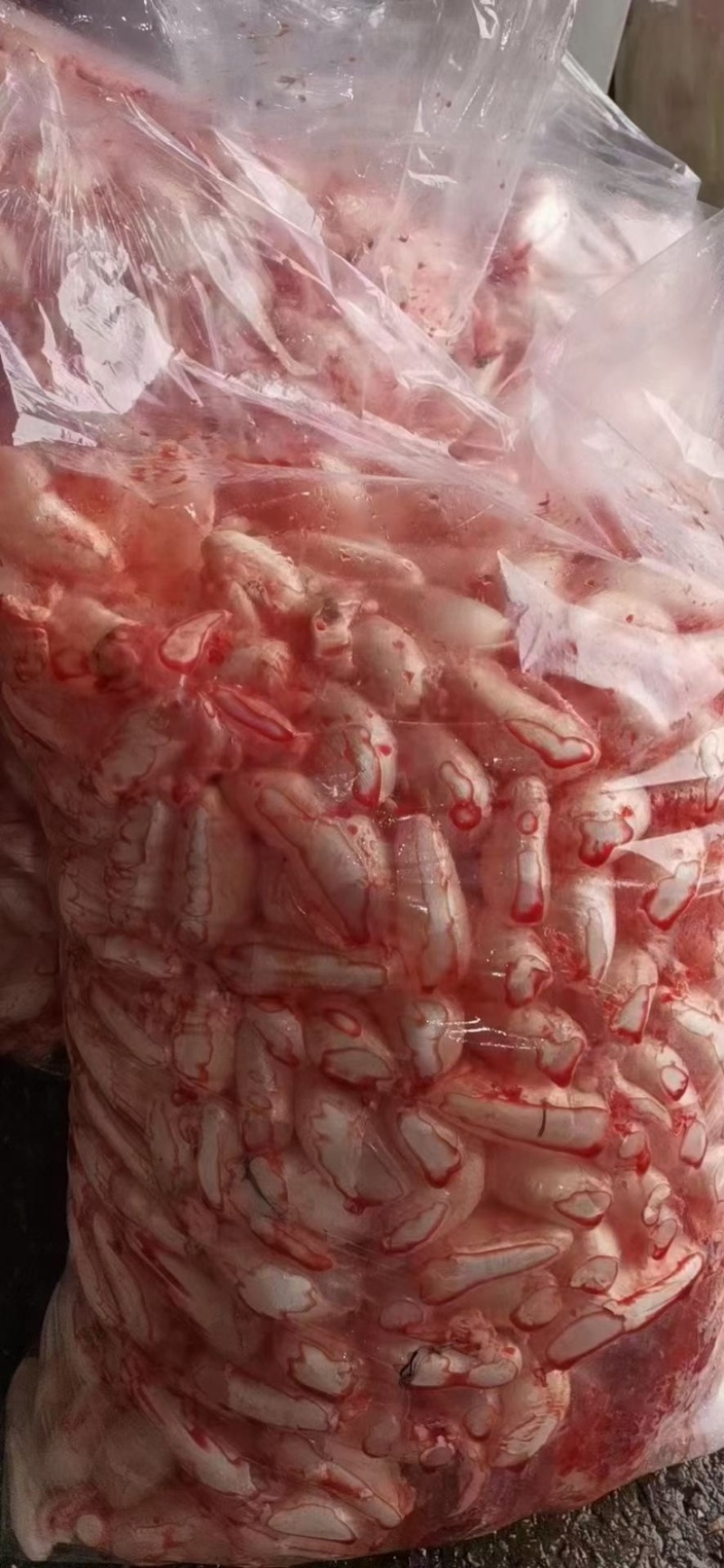 新鲜鱼籽鱼泡