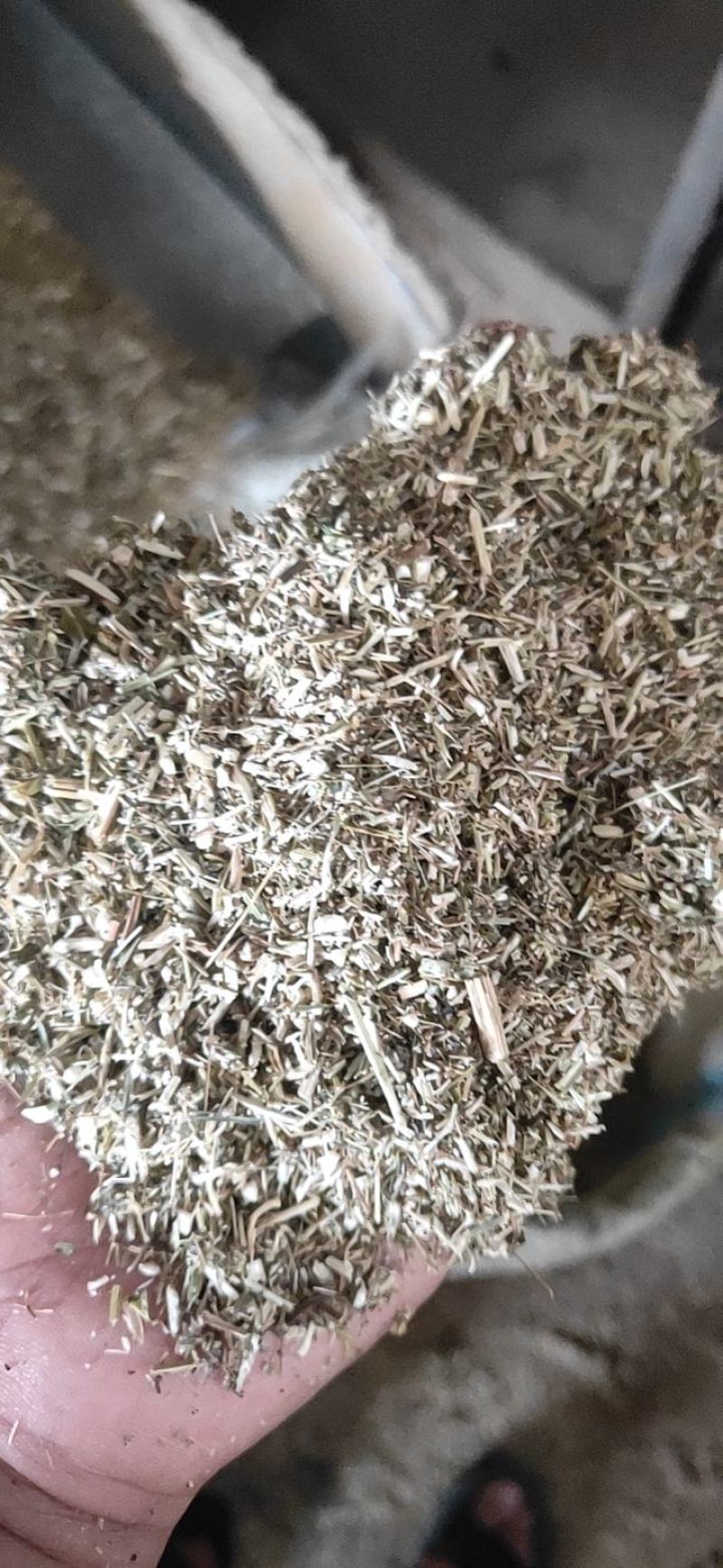 饲料专用艾渣，艾粉厂家大量出售