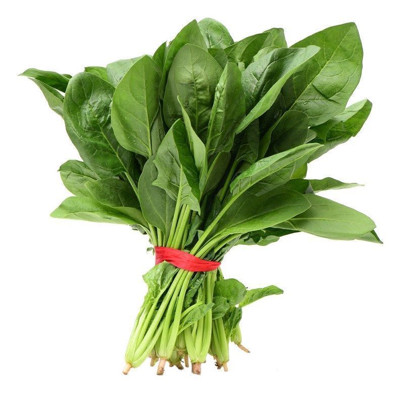 菠菜种子速生大叶四季菠菜种籽高产小叶耐热耐寒菠菜种蔬菜盆