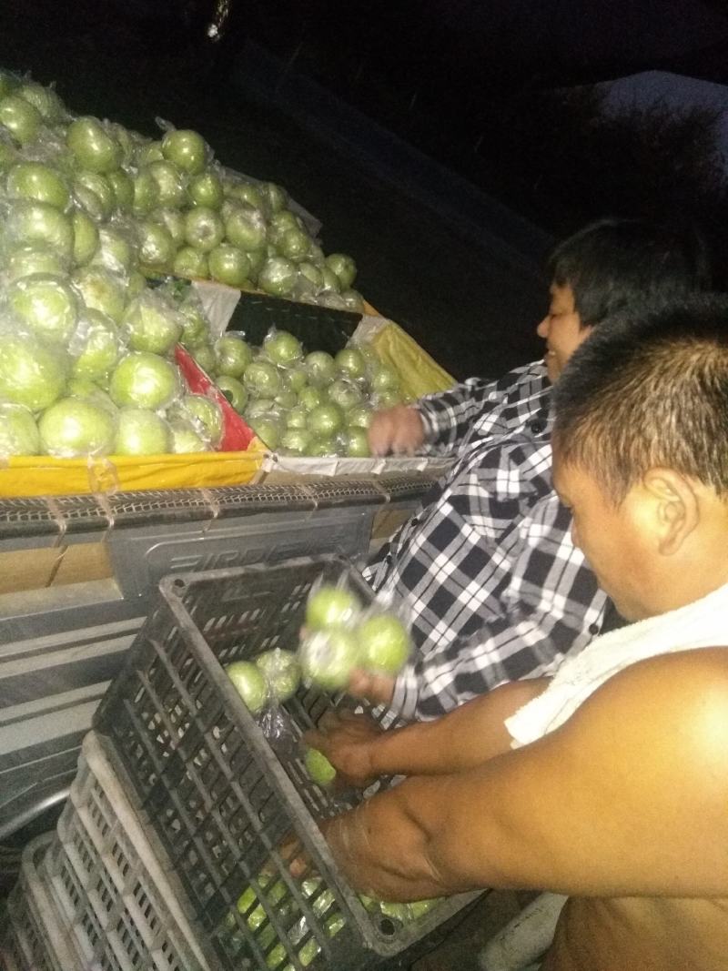 王林苹果大量上市中，有想法的老板们抓紧联系我。