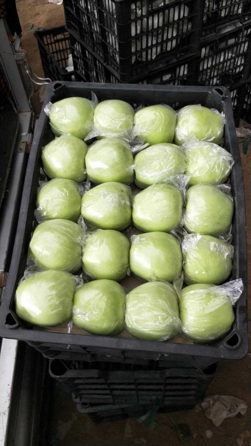 王林苹果大量上市中，有想法的老板们抓紧联系我。