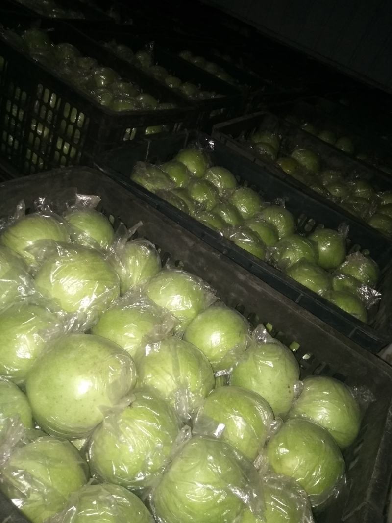 王林苹果大量上市中，有想法的老板们抓紧联系我。