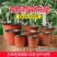 花盆双色花盆加厚多肉盆外红内黑软塑料育苗盆一次性营养钵摔