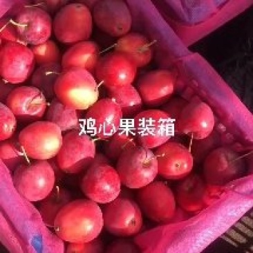 内蒙古通辽市开鲁县鸡心果大量上市品质好