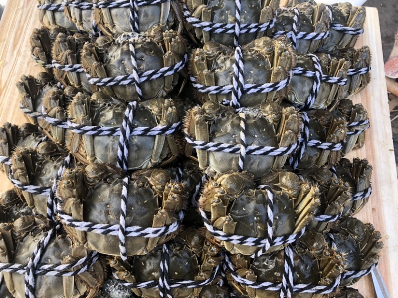 大闸蟹寻找优质长期客户不做一锤子买卖