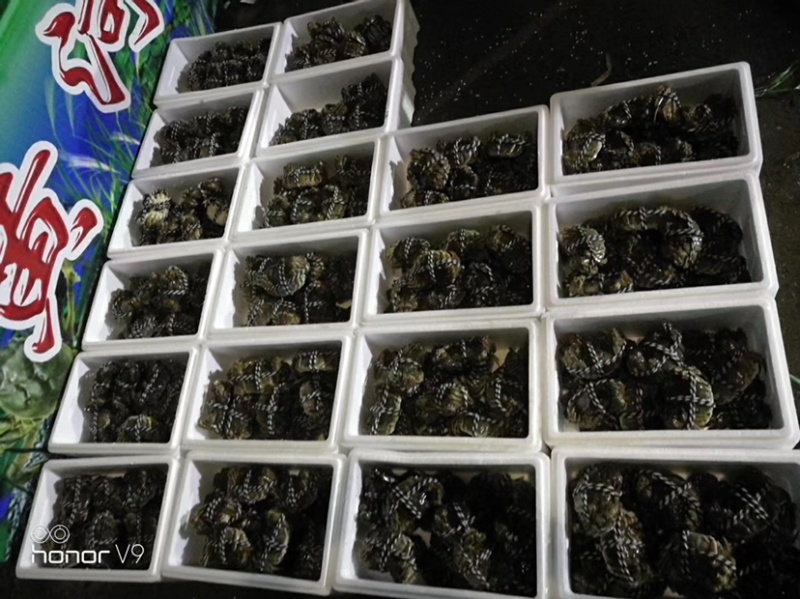 大闸蟹寻找优质长期客户不做一锤子买卖
