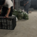 陕西辣椒大量到货有需要的客商提前联系接待优质客户
