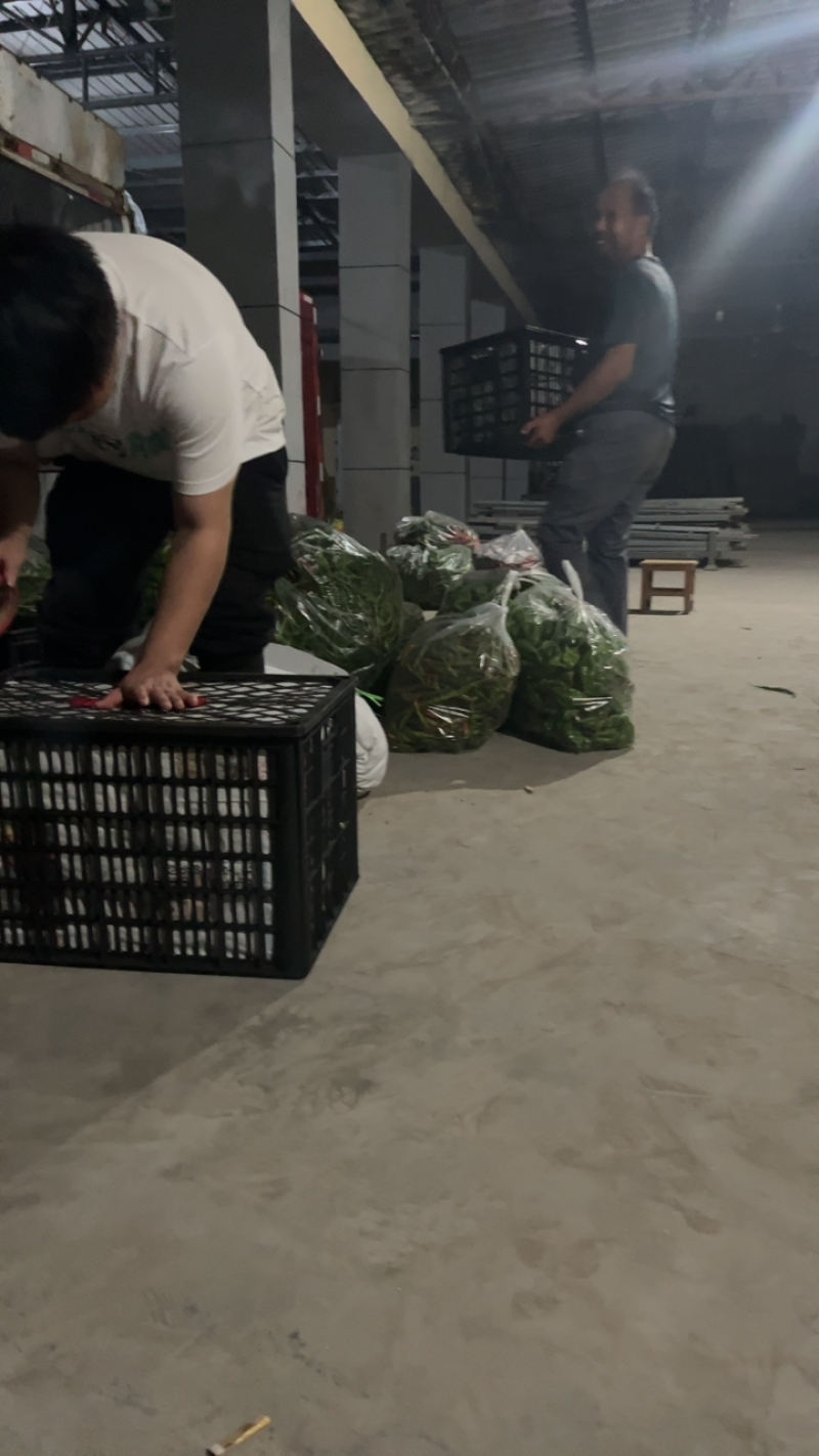 陕西辣椒大量到货有需要的客商提前联系接待优质客户