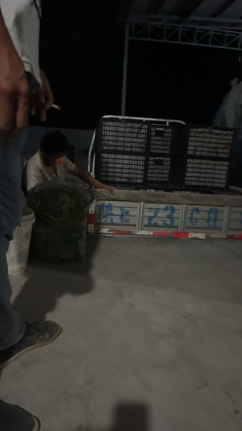 陕西辣椒大量到货有需要的客商提前联系接待优质客户
