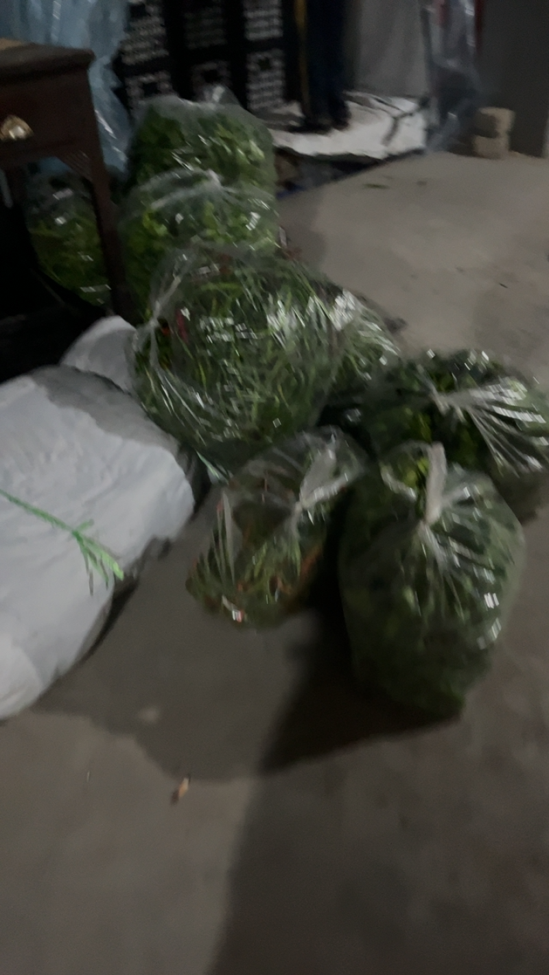 陕西辣椒大量到货有需要的客商提前联系接待优质客户