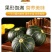 内蒙古贝贝南瓜香甜粉糯，源头供货商，对接电商平台市场商超