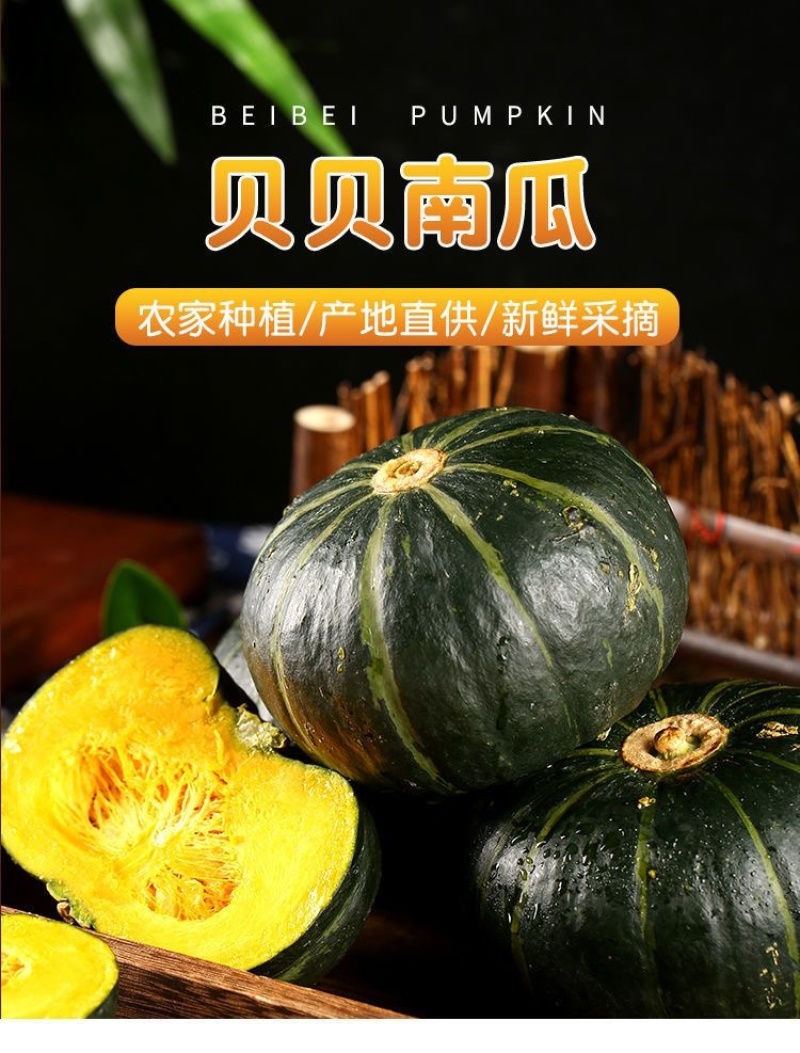 内蒙古贝贝南瓜香甜粉糯，源头供货商，对接电商平台市场商超