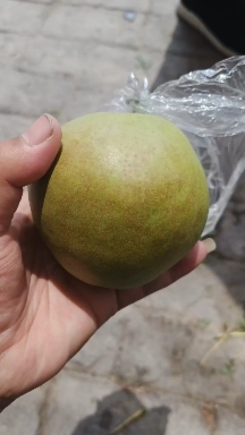 玉露香需要的老板联系，还有各种水果需要的看过来