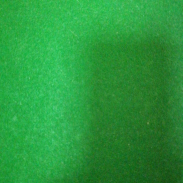 毛薯