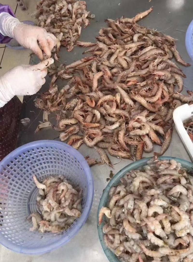 海虾仁、九虾仁、樱花虾仁、虾仁加工挑出线肠、原汁原味直批