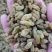 吐鲁番的葡萄干，新疆原产地，口感很好，香甜适口。