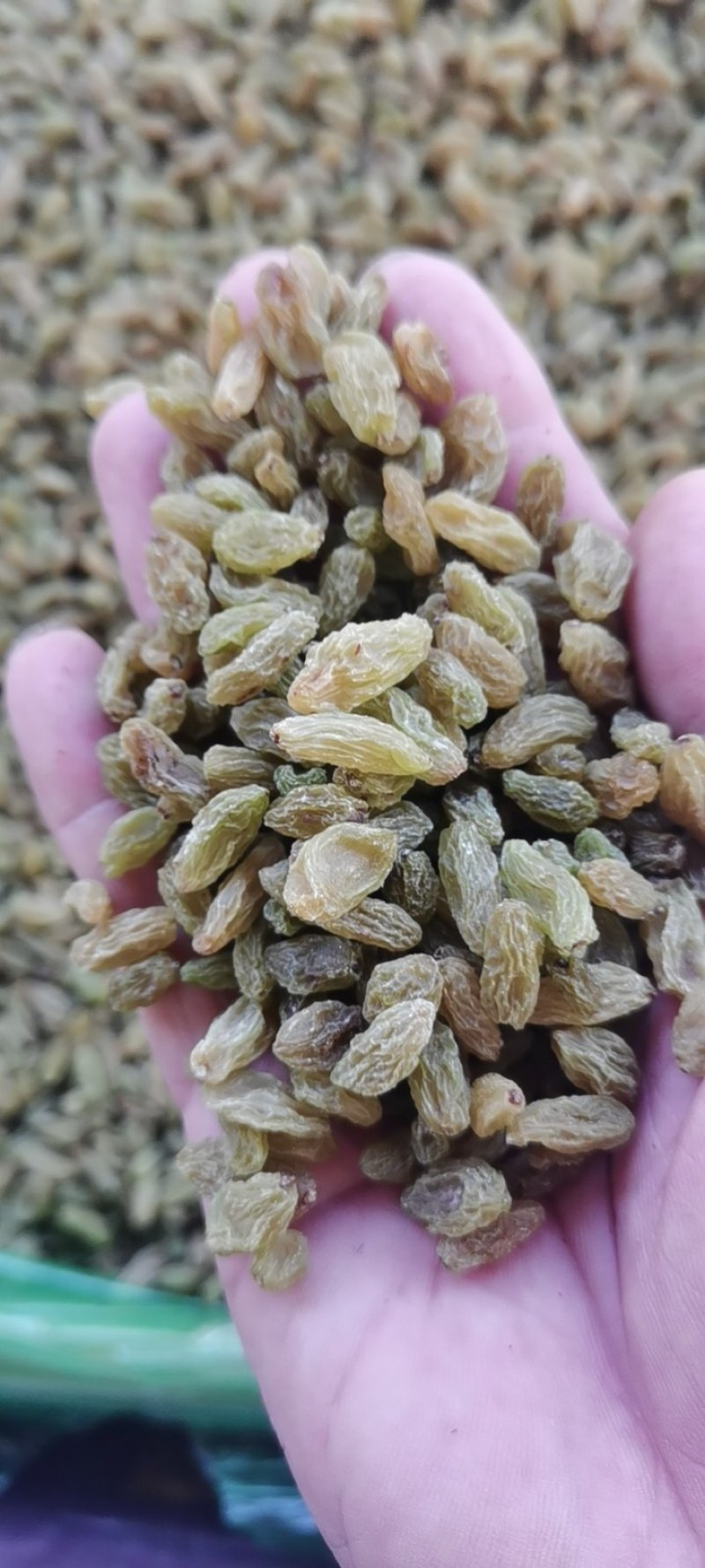 吐鲁番的葡萄干，新疆原产地，口感很好，香甜适口。