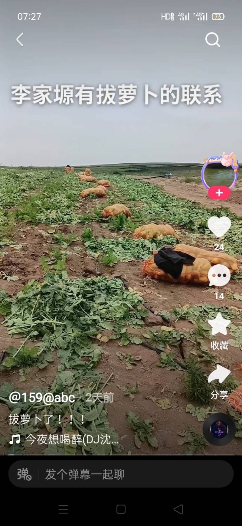 靖远会宁萝卜