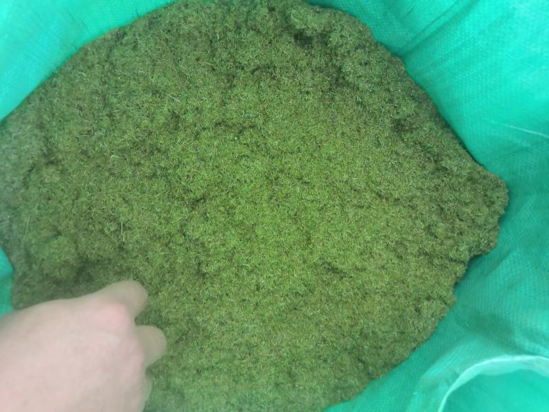 植物型饲料