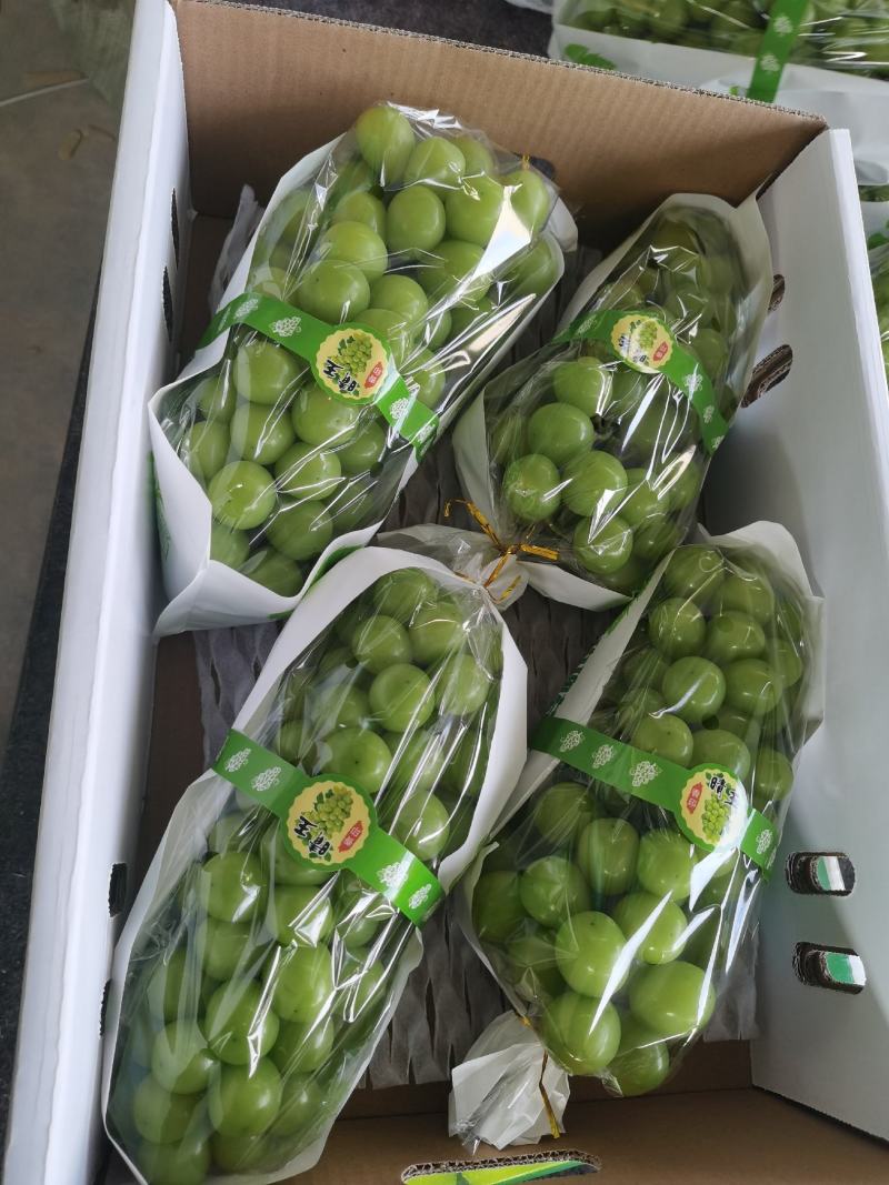 安徽精品阳光玫瑰大量现货产地代发阳光玫瑰葡萄香味浓郁、