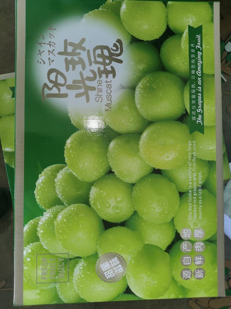 安徽精品阳光玫瑰大量现货产地代发阳光玫瑰葡萄香味浓郁、