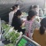 安徽精品阳光玫瑰大量现货产地代发阳光玫瑰葡萄香味浓郁、