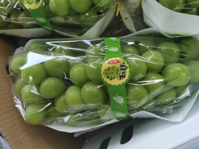安徽精品阳光玫瑰大量现货产地代发阳光玫瑰葡萄香味浓郁、