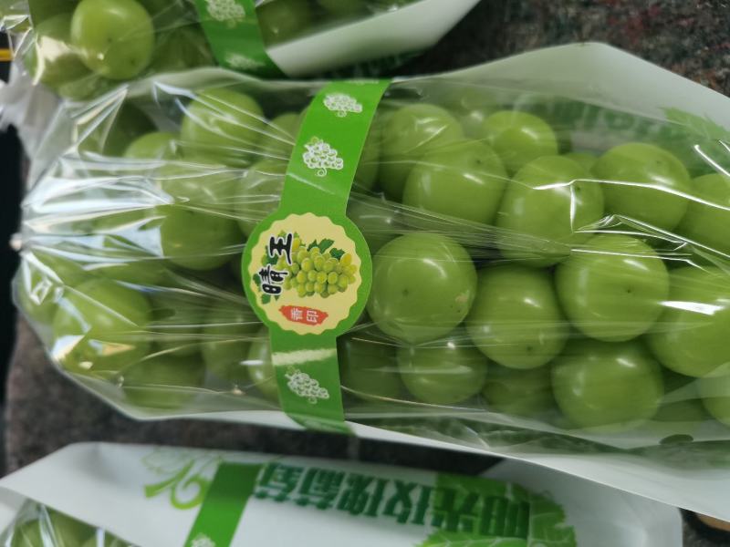 安徽精品阳光玫瑰大量现货产地代发阳光玫瑰葡萄香味浓郁、