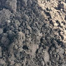 牛粪发酵纯牛粪奶牛粪有机肥松土改良土壤