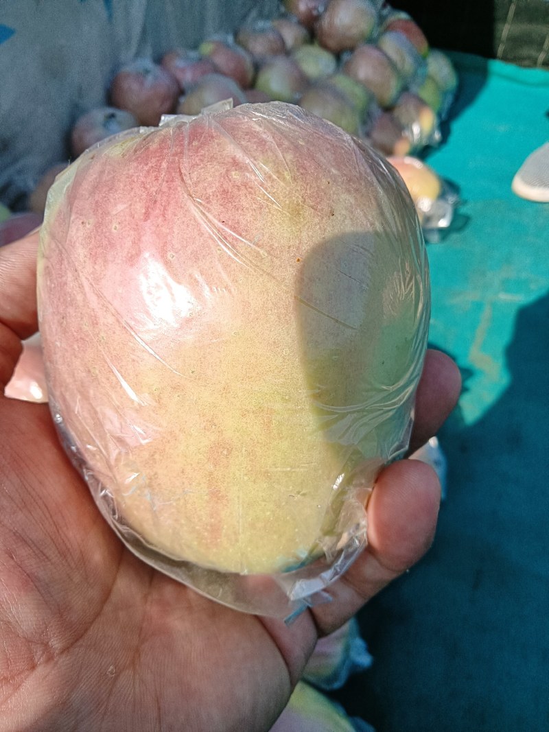 中秋王