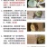 进口泰国甲伦金枕榴莲新鲜榴莲一件代发招代理榴莲2-9斤