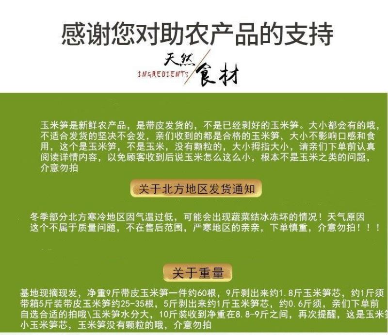 湛大农业种植基地玉米新鲜玉米笋香鲜嫩甜脆小玉米笋小件包邮