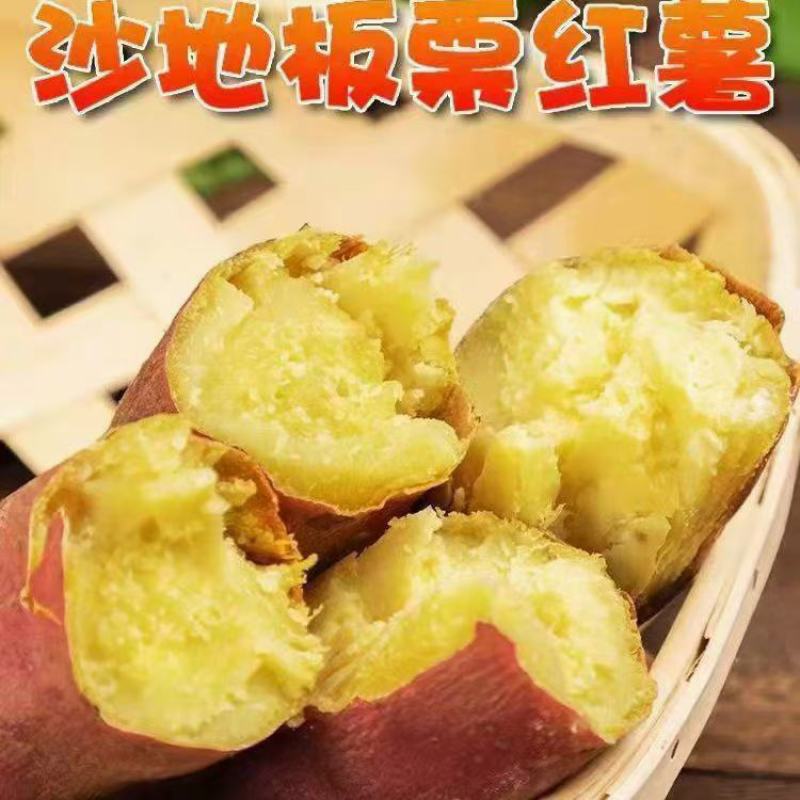 山东临沂板栗薯济薯26黄心红薯批发装大车，发物流，代发