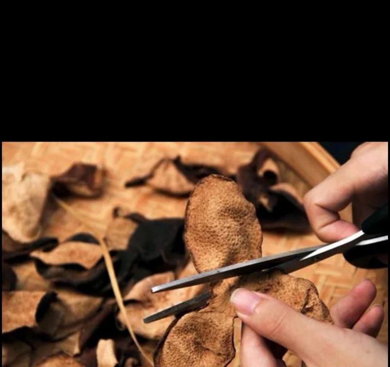 新会老陈皮纯手工扎皮工艺，产自天马，三江优质地块