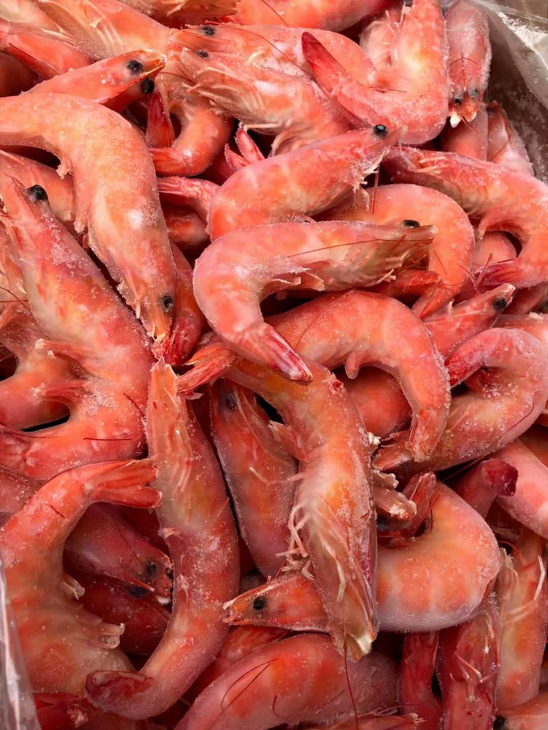 深海南美对虾高端食材单个独冻船冻熟虾